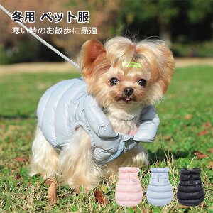 ^ _炩 hbOEFA H~ WPbg g ȕ ~p  m   y h ^ ybg  ȃxXg