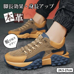 _炩 NbVgbLOV[Y ^ ~ h y Y Xj[J[ K  ʋC JWAV[Y