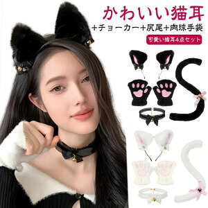 ɂ 4_Zbg  zCg `[J[  L   4_Z G  L nEB t J`[V 