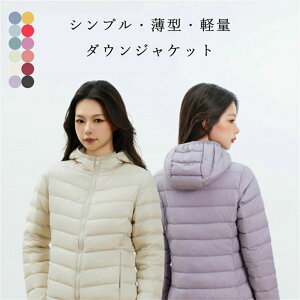  _ER[g h JWA y ꂢ fB[X ^ _EWPbg _EWPbg y _EWPbg