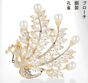 u[`@Ԃ[@Ss@E@Ⴍ@NWN