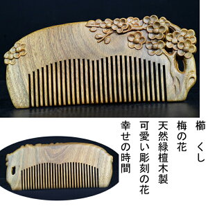 ���@�N�V�@�����@������@�V�R�h�؁@�~�̉ԁ@�@�� ���炳��@�R�[�� �Ód�C�h�~�@�N�V