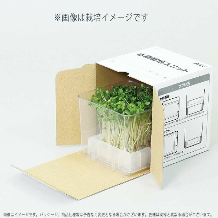 楽天市場 スプラウト栽培キット カイワレ大根 水耕栽培 栽培 スプラウト 家庭菜園 自由研究 アーテック やるcan