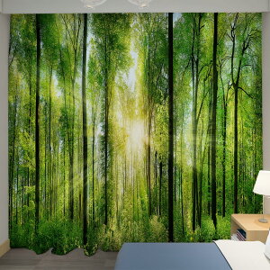 U-SITU J[e J ͋CJ[e ՌJ[e fM h UVJbg CeA |o Ⴂ  J ъ   ډB ͋C] iTCYF170cm x 200cmi1