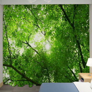 U-SITU J[e J ͋C ՌJ[e fM h UVJbg CeA |o Ⴂ  J  ؂̉  ډB ͋C] iTCYF170cm x 100cmi2gjjJ