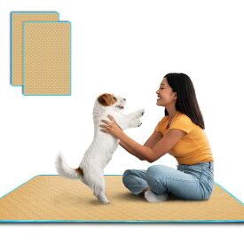 TiTiSNUGY 洗えるペットシーツ ペット用おしっこマット 【ブルー縁ガイド！】 ペットマット 大型犬・猫用トイレマット 大判サイズ 多頭飼いに最適 ワイド 四重構造で漏れ防止/滑り止め/超吸収 丸ごと洗える 繰り返し使える 速乾/制菌 介護(ベージュ