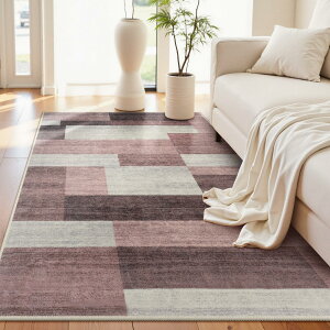 HAOCOO ���O �J�[�y�b�g �􂦂� 120��160cm 1�� �I�[���V�[�Y���K�p �k���� ���_�� �z�b�g�J�[�y�b�g�Ή� �ӂ�ӂ� ����~�� �h�� �R�ۖh�L ���r���O �_�C�j���O ���O�}�b�g �y�� ���U�C�N �J���[
