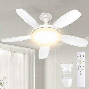 SUKITEN シーリングファンライト ファン付き照明【大型・大風量・正逆回転】天井扇風機 44W 120W相当 5000lm 三相DCモーター E26 Φ81cm メモリー/タイマー機能 リモコン付き 8-10畳 省エネ 電球色 昼
