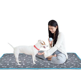 TiTiSNUGY 洗えるペットシーツ ペット用おしっこマット 【ブルー縁ガイド！】 ペットマット 大型犬・猫用トイレマット 大判サイズ 多頭飼いに最適 ワイド 四重構造で漏れ防止/滑り止め/超吸収 丸ごと洗える 繰り返し使える 速乾/制菌 介護(ライトグ