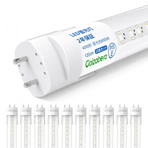 �uCoizabera�vLED�u���� 40W�` T8���� 120cm �������d �����F 6500K ����d��18W ����G13 ���P�x2600lm �V��Ɩ� �O���[���H���s�v ������ �ȃG�l 2�N�ۏ� �ߓd �ƒ�A�w�Z�A�a�@�A�������A�H��A�q�ɂ�