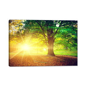 A[gpl X ž |X^[ X̕i G CeA zt  G J^  i Ǌ| ؘgt̊i(30x40cm)