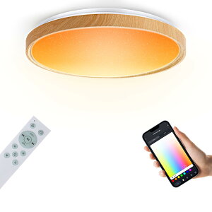 GHETTALINN LED ���y�V�[�����O���C�g �ؖڒ� 12�� 14�� 55W ���a50�Z���` WiFi�ڑ� alexa/google home�Ή� ������Bluetooth�X�s�[�J�[ RGB���C�g ���邢 �X�}�[�g�z�[���V��Ɩ� �a�� �������F ���E