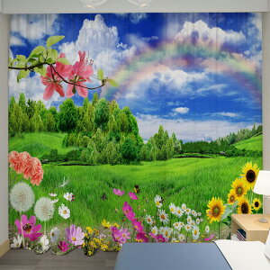 U-SITU J[e J ͋C ՌJ[e fM h UVJbg CeA |o Ⴂ  J  쌴  ډB ͋C] iTCYF170cm x 100cmi2gjjJ