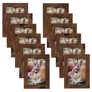 Wtrgas フォトフレーム L判 額 木目調 写真 額縁 壁掛け用 卓上用 ブラウン セット 12枚 89x127mm