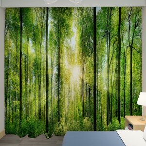 U-SITU �J�[�e�� ���J�� ���͋C �Ռ��J�[�e�� �f�M �h�� UV�J�b�g �C���e���A �|���o���� ���Ⴂ�� ������ �J���� �ъ� ���� ������� �ډB�� ���͋C�]�� �i�T�C�Y�F��170cm x ��100cm�i2���g�j�j�J