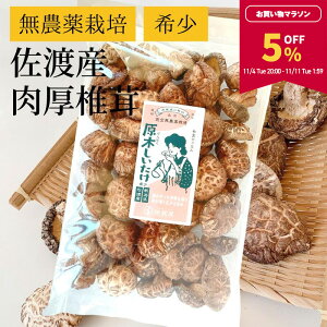 y5OFF}\ԌIz[] ؂ ő  S_͔| V nY 250gyH쉞Z[zyzsz