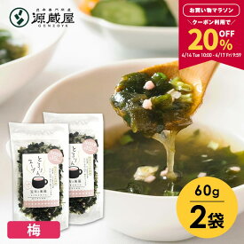 【20％OFFOFFクーポン配布中★マラソン限定！】[セット]とろりんスープ昆布と海藻 うめ味[30杯分] 60g×2袋 即席スープの素【食卓応援セール】