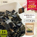 【P10倍×250円OFFクーポン配布中★マラソン限定！】[単品]こぶChips 65g×1袋 昆布チップス 北海道産昆布100％/おや…