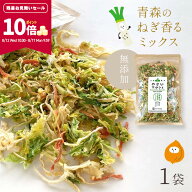 【ポイント10倍★残暑お見舞いSALE！8/12 10:00- 8/17 9:59】[単品]乾燥野菜 100g やさいマルシェ 1袋 青…