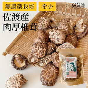 ؂ ő  S_͔| V nY 60gyH쉞Z[zyzsz