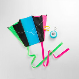 あおぞら AOZORA ポケットカイト【 楽天スーパーSALE お買い物マラソン 公式 正規品 保育園 幼児 図工 出産祝い 卒園祝い 入園祝い 入学祝い 知育玩具 飛行機 キット 模型 ピタゴラス ギフト 贈り物 クリスマス ブラックフライデー】