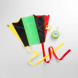 あおぞら AOZORA ポケットカイト【 楽天スーパーSALE お買い物マラソン 公式 正規品 保育園 幼児 図工 出産祝い 卒園祝い 入園祝い 入学祝い 知育玩具 飛行機 キット 模型 ピタゴラス ギフト 贈り物 クリスマス ブラックフライデー】