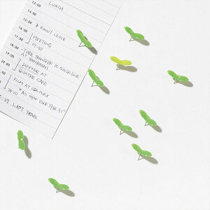 vXfB[ +d O[sy yVX[p[SALE }\  Ki |XgJ[h stbN Ǐ rO CeAG VvCt VvfUC 炵