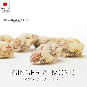 {쐻 WW[A[h / 85g( 1pbNEPi )y yVX[p[SALE }\  Ki aَq Mtg wagashi lߍ킹  erŏЉꂽaَq {̘aَq 