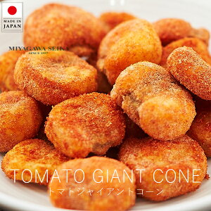 {쐻 g}gWCAgR[ / 65g ( 1pbNEPi )y yVX[p[SALE }\  Ki aَq Mtg wagashi  erŏЉꂽaَq {̘aَq v[