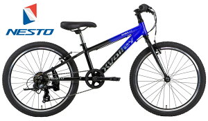 NESTOlXg_X-VALLEY_KID22C`_Blueu[