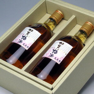 【楽ギフ_包装】石川県白山市 小堀酒造店 加賀梅酒 720ml 2本化粧箱入