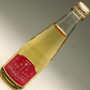 ���x�� �ݍΊy ����~�� �X�p�[�N�����O 200ml