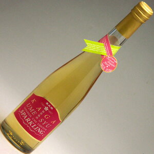 x ݍΊy ~ Xp[NO 500ml