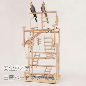 Sؐ Owo[hvCW CRpVnZbgiH/q/HtjIE  ZLZCCRΉ ̂X^h