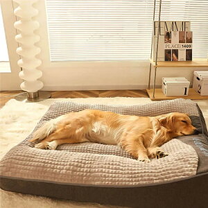 ySSő1000~OFFN[|P10{zI[V[Y^pxbh ybgxbgp xbh ~p  xbh ~ ^ ^ ^ 􂦂 ӂӂ ybgxbh ~  RۖhLh_j z