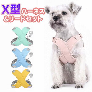 p n[lX X^n[lX X^  ^ ^ Eh~ h~ Ȃ i߂Ȃ y ʋC iC nht [ht }WbNe[v _炩  
