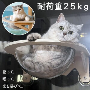 Lp nbN L  FD ybgp LbgXebv ͋z Lxbh xbh Lbg^[ 킢 360°  NA{E  tȒP zՃnbN ω׏d 25kg   l