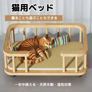 y500~OFF{P20{IBLACK FRIDAYIzVRؐLpxbh C zAfqht[ ϋv ݌v ܂Ƃ @\ É݌v lGΉ LXK 3TCYWJ ybgxbh 