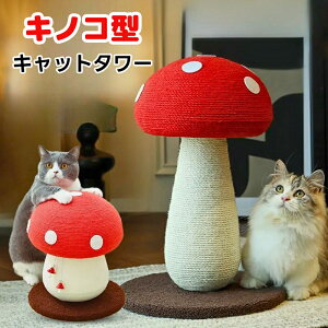 y}\ 10%OFF{P10{IzLbg^[ LmR^Lbg^[ Lp܂Ƃ^[ iTCU ϋvQ \ VRfވS Lx[X݌v CeAɂœK 