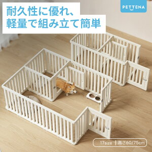 y10%OFF+P10{zybgT[N hAt  T[N hAt 17type  T[NP[W ybgP[W BȂ Rɑgݍ킹 LEh~tFX 60cm 75cm ^ ^pQ[W 