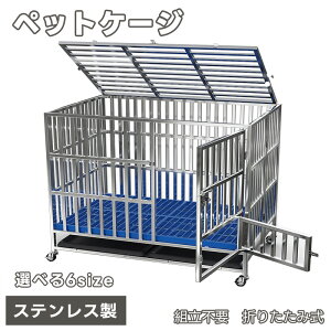 y10%OFF+P2{zp P[W ܂肽 XeX gsv ybgP[W hbOP[W  P[W ybgT[N /hA/g[/LX^[t }bg pT[N  ^ 