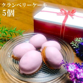 クランベリーケーキ バターたっぷり100％使用 5個入り 焼き菓子 スイーツ 個包装 ご贈答 プレゼント イベント 催事 まとめ買い 母の日 敬老の日 のし対応 ゴルフ 景品 1000円
