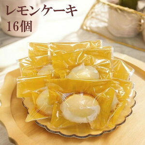 s[낲 P[L 16 XC[c  z   Cxg Î W܂