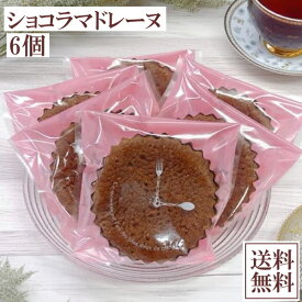 昔ながらの大きなマドレーヌ ショコラ バターたっぷり 6個入り メール便 スイーツ 手作り 無添加 昭和 レトロ 懐かしい 送料無料 個包装 ご家庭用 簡易包装 ポイント消化 サービス品