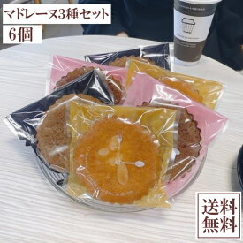 昔ながらの大きなマドレーヌ 3種セット プレーン ほうじ茶 ショコラ バターたっぷり 6個入り メール便 スイーツ 手作り 無添加 昭和 レトロ 懐かしい 送料無料 個包装 ご家庭用 簡易包装