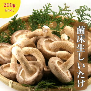 y߂z Yn̂ꂽ ǂ3`5cm@ۏ1pbN4×2 ʖ200O RYۏ ̂ ő  VC^P gN