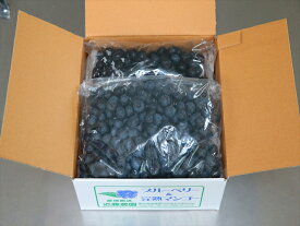 【 手軽にフルーツ生活 ★ 500g ×2個 】 無農薬で栽培したブルーベリーを一粒々丁寧に検品して急速冷凍しました。 そのままで食べれます。ミキサーにかけて生ジュースやヨーグルトなどに入れてお召し上がり下さい。