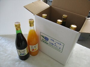 }S[W[X720g@3{u[x[W[X720g3{@6{Zbg