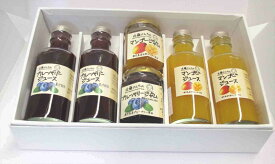 【ブルーベリー ジュース ★ 180g 2本、完熟マンゴージュース★ 180g 2本、完熟マンゴージャム★ 110g 1個、ブルーベリージャム★ 110g 1個】 お歳暮 フルーツジュース ブルーベリー マンゴー フルーツジャム贈答品