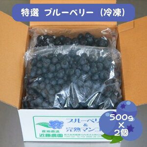 y yɃt[c  500g ×2 z u[x[ Ⓚt[c Y Ⓚ u[x[ ƒp Ⓚ 1Kg _ u[x[ Y Ⓚ ʕ t[c p X[W[ Mtg  t